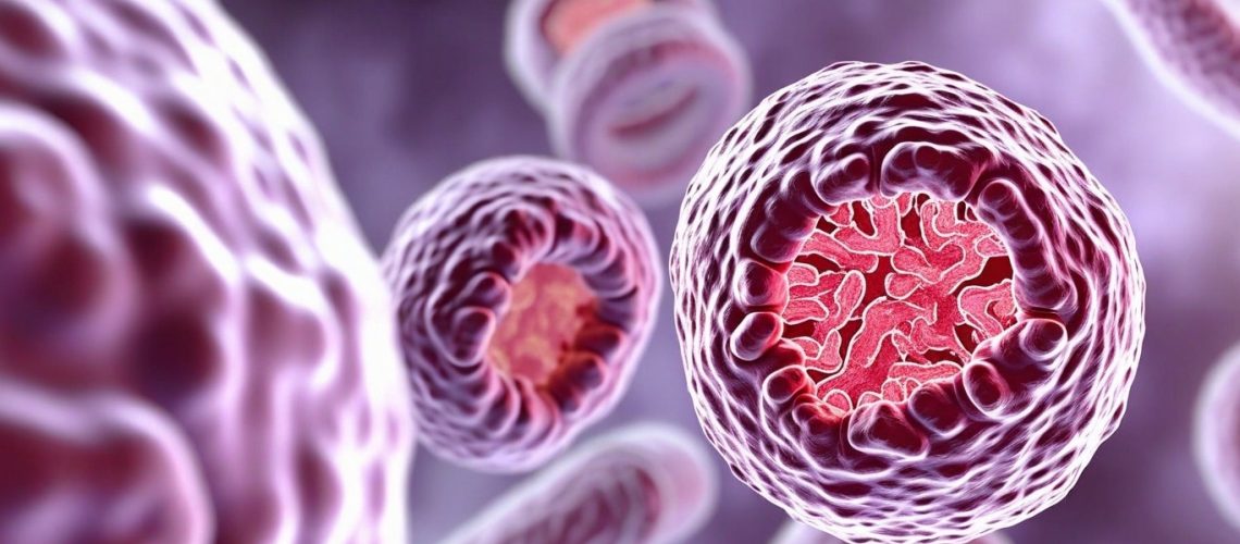 שיפור היעילות של Methotrexate בטיפול בצ'וריוקרצינומה