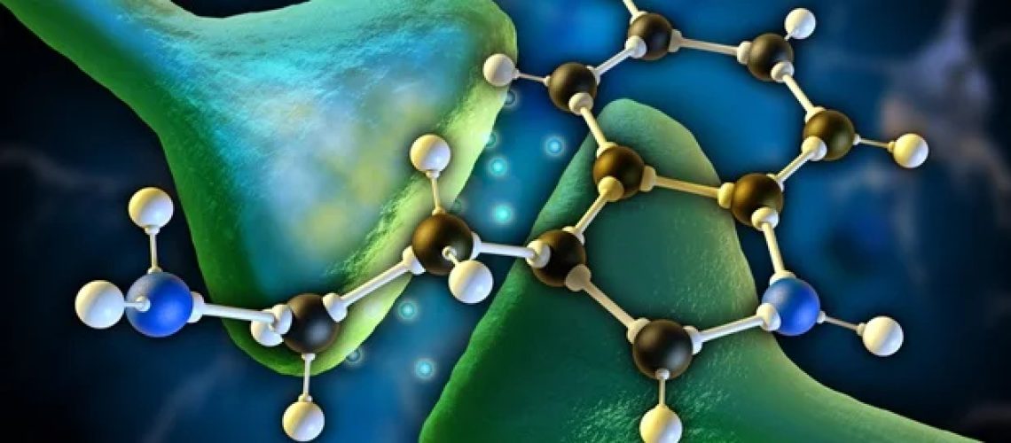 שיפור המיאלינציה עשוי לסייע בשמירה על השפעות טיפוליות של טיפול ב-PTSD בסיוע פסיכדלי