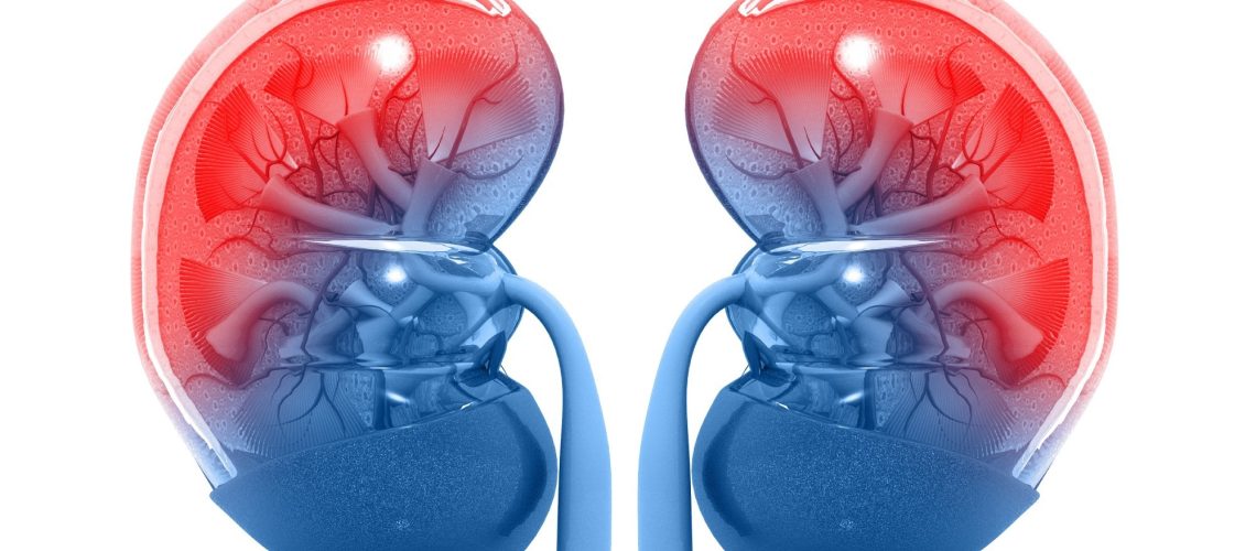 שיפור הצלחת השתלות כליה מתורמיים שנפטרו עם היסטוריית דיאליזה