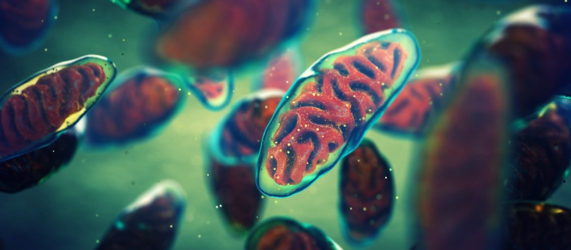 Study: Harnessing tissue-derived mitochondria-rich extracellular vesicles (Ti-mitoEVs) to boost mitochondrial biogenesis for regenerative medicine. Image Credit: nobeastsofierce / Shutterstock