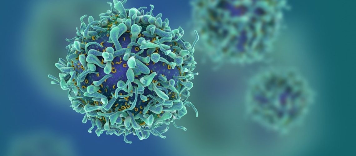 Study: The tissue-resident regulatory T cell pool is shaped by transient multi-tissue migration and a conserved residency program. Image Credit: fusebulb/Shutterstock.com