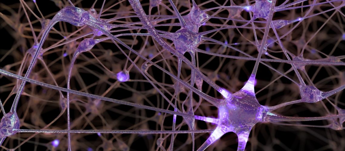 תאי מפתח במוח הקשורים להתנהגויות חוזרות ונשנות במחלות פסיכיאטריות