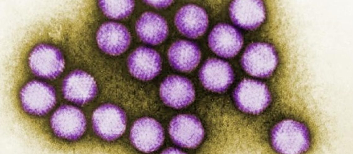 תגובות בלתי צפויות של תאי T לחיסונים אדנו-ויראליים נגד COVID-19 גילו חוקרים מארצות הברית...