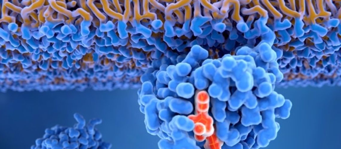 תגלית חדשה חושפת כיצד גנים מוטנטיים של ראס מניעים את צמיחת הגידול