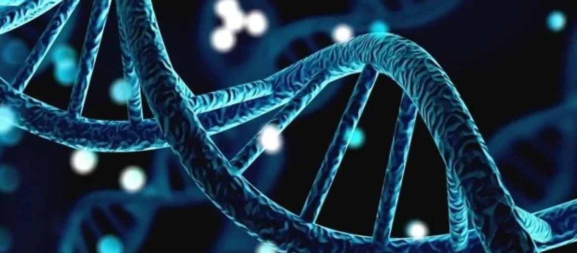 תוחלת החיים האנושית נמצאה הרבה יותר תורשתית ממה שהאמינו בעבר