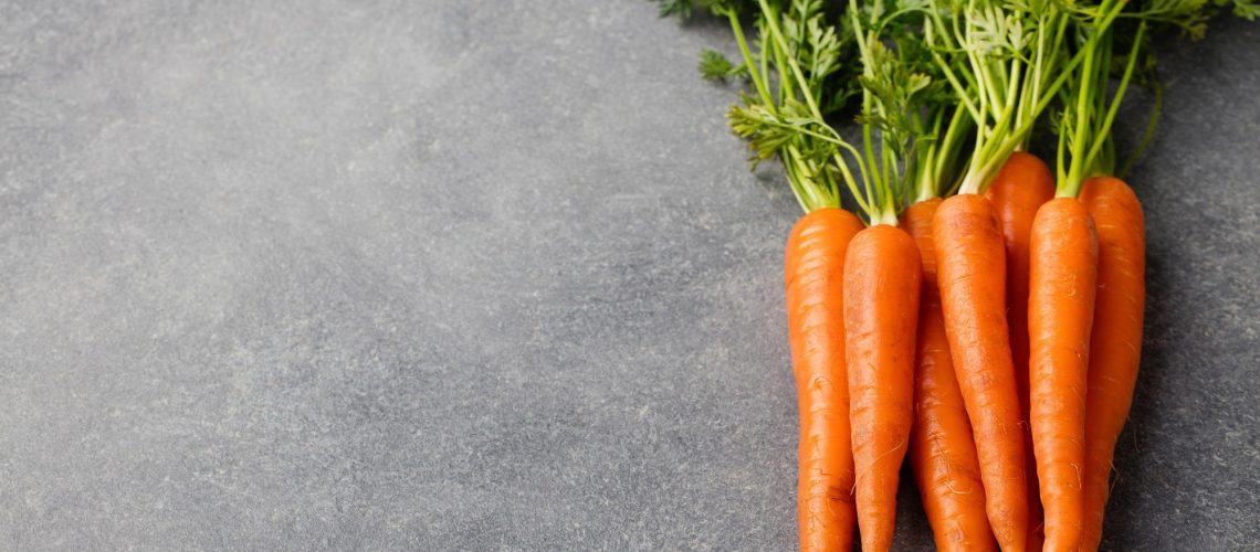Fresh carrots bunch on a grey stone background