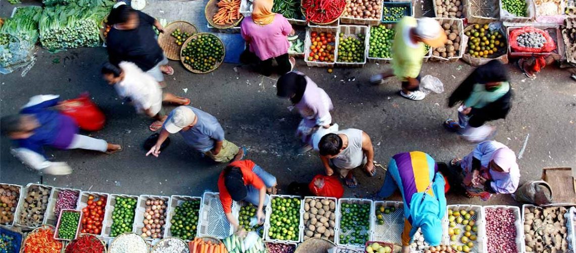 תזונה 'מאוזנת' עדיפה על צמחונית בתמיכה בבריאות המוח