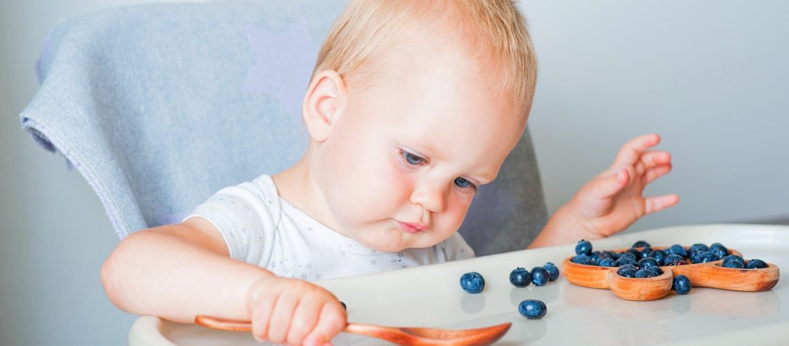 Study: Blueberry Consumption in Early Life and Its Effects on Allergy, Immune Biomarkers, and Their Association with the Gut Microbiome. Image Credit: SoNelly / Shutterstock 