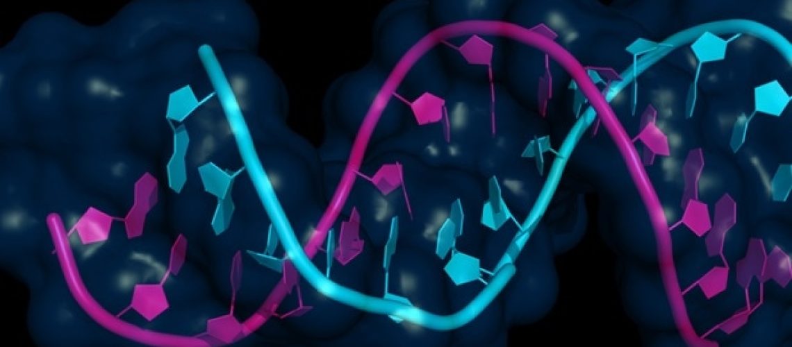 תכנון פולימרים טובים יותר לאספקת RNA עם כלים חישוביים