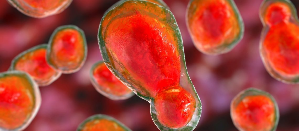 תפקידו של גלוקוז בהשראת סבילות לאמפוטריצין B לטיפול בדלקת קרום המוח פטרייתית