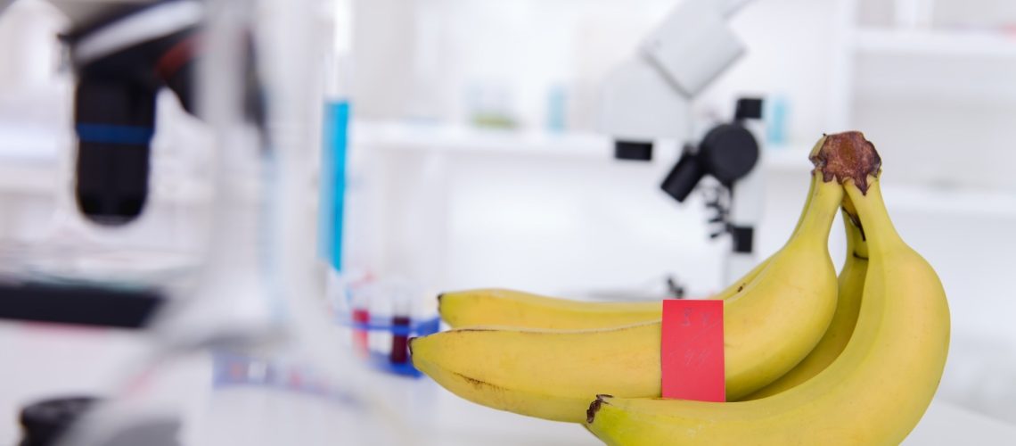 Study: Banana Lectin: A Novel Immunomodulatory Strategy for Mitigating Inflammatory Bowel Disease. Image Credit: Alex_Traksel/Shutterstock.com