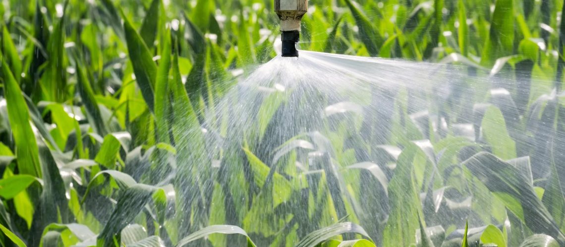Close up view of an automatic watering system on a corn field.