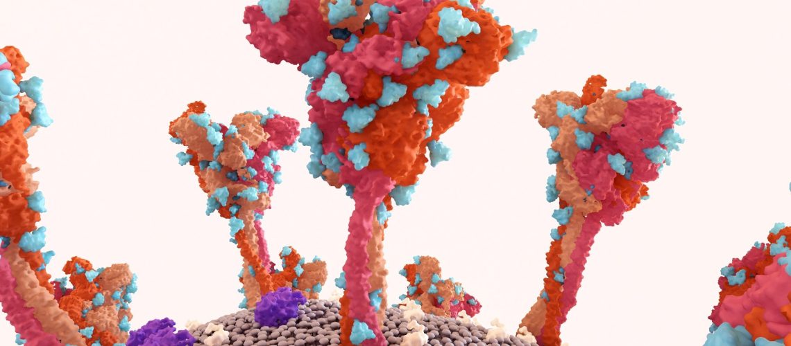 Study: Immune evasion, infectivity, and fusogenicity of SARS-CoV-2 BA.2.86 and FLip variants. Image Credit: Design_Cells / Shutterstock